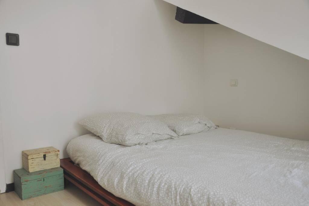 Duplex Avec Belle Terasse Au Centre De Bayonne Appartement Buitenkant foto